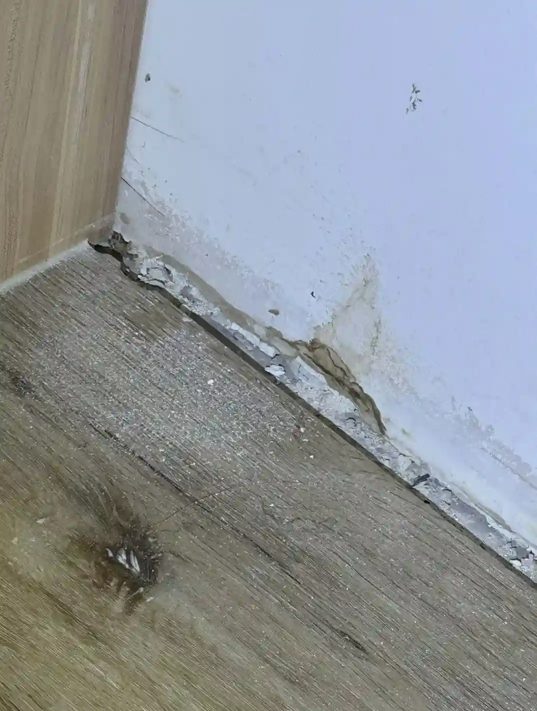 IMG_1406 Combined_page-0003_3_11zon